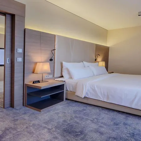 Radisson Blu Plaza Hotel Ljubljana-3