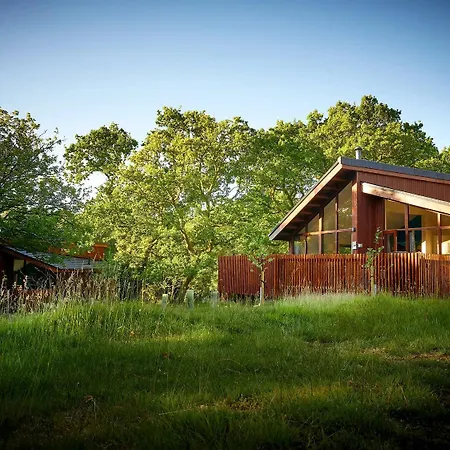 Beddgelert Cabins, Snowdonia - Forest Holidays-3