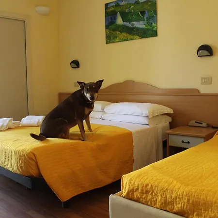 Pet Hotel Virginia - Hotel per cani-2