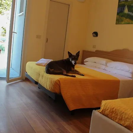 Pet Hotel Virginia - Hotel per cani-2
