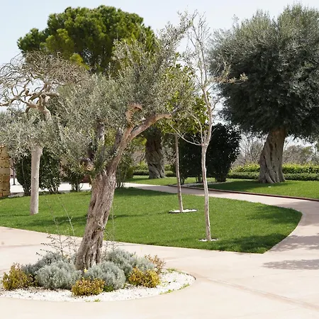 Tenuta San Marco-3
