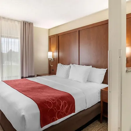 Comfort Suites Speedway - Kansas City-2