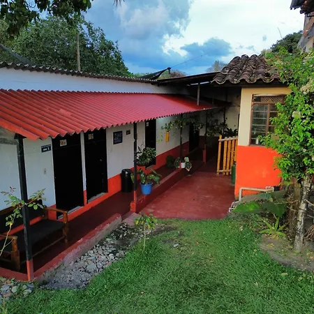Finca hotel los cocos-3