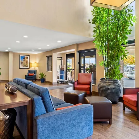 Comfort Inn & Suites Albuquerque Downtown-3