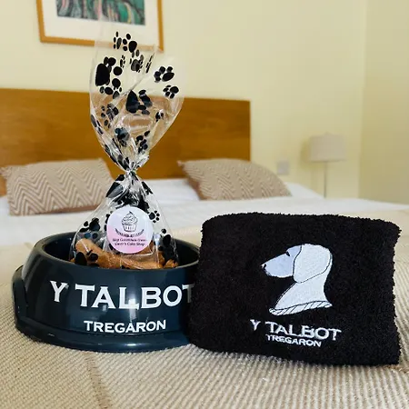 Y Talbot-2