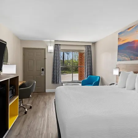 Days Inn By Wyndham Petersburg/South Fort Lee-3