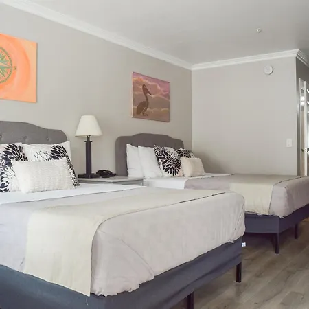 Dune Surfer Inn-2