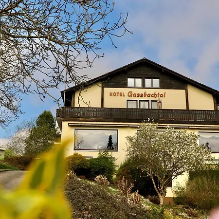 Hotel Gassbachtal-3