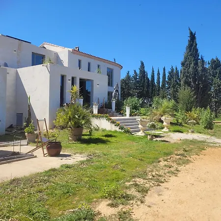Villa Blanche - Teritoria-2