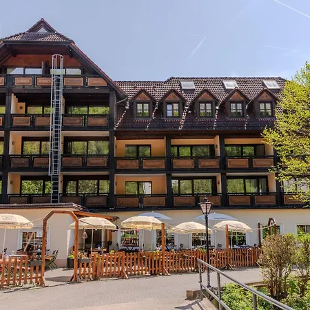 Landgasthof zur Linde-3