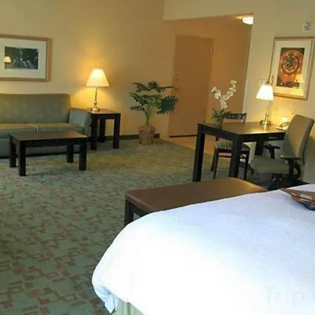 Hampton Inn & Suites Savannah-Airport-2