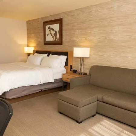 Holiday Inn Spearfish-Convention Center By Ihg-3