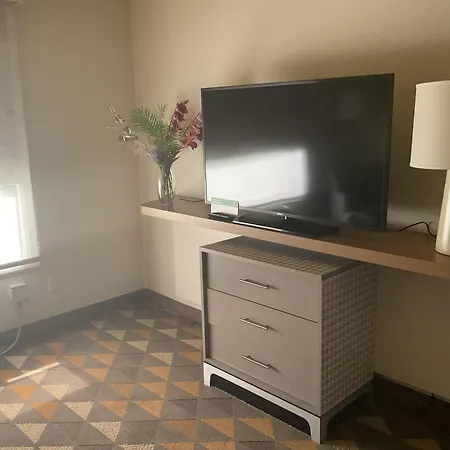 Holiday Inn Houston Intercontinental Airport By Ihg-2