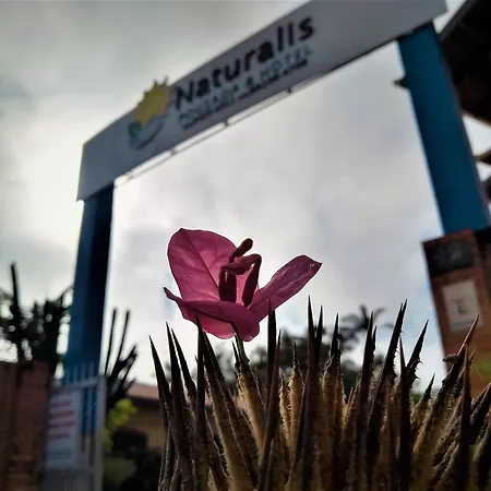 Hotel Naturalis-3