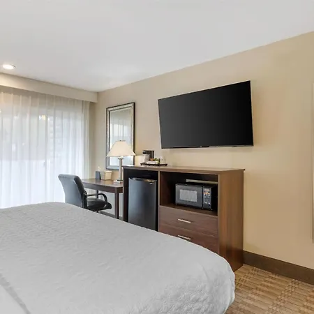 Best Western Oceanside Inn-3