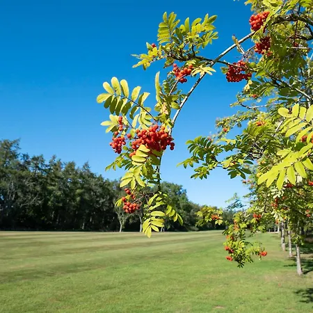 Percy Wood Country Park-3