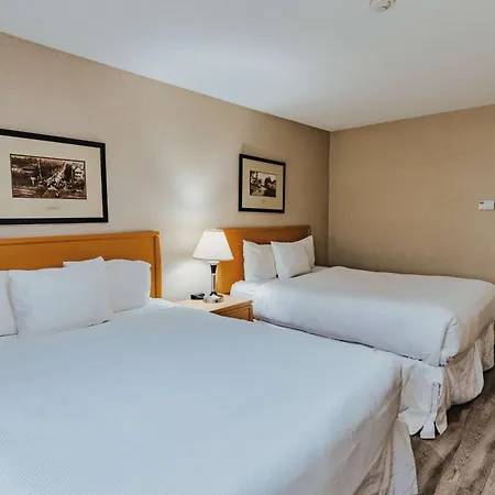 Surestay Plus By Best Western Coquitlam-2
