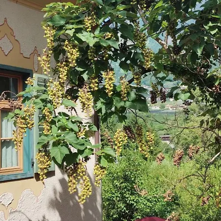Schlosswirt Forst-3