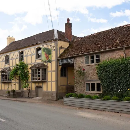 The Greenman Fownhope Hereford-3
