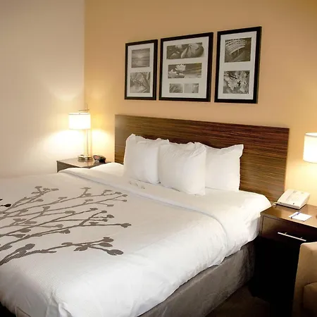 Sleep Inn & Suites Moundsville - Wheeling-3