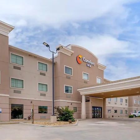 Comfort Inn I-20 Midland Stanton-3