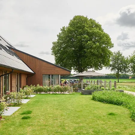 Het Witteveen-2