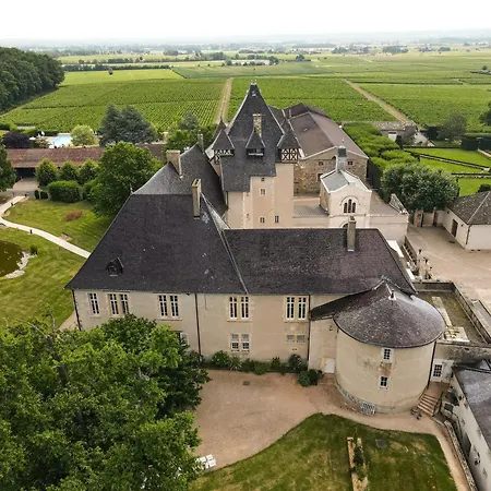 Chateau De Pizay-3