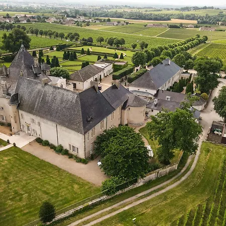 Chateau De Pizay-3