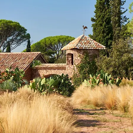 Château Saint Roux Le Luc-Le Cannet des Maures-2