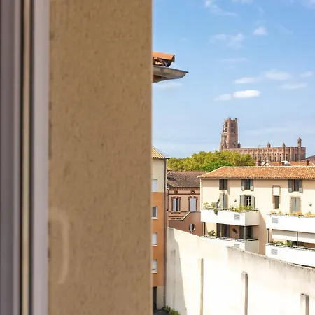 Ibis Albi-3