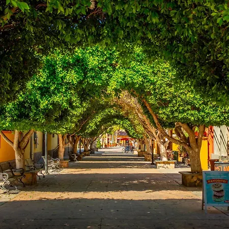 Hotel Santa Fe Loreto By Villa Group-3