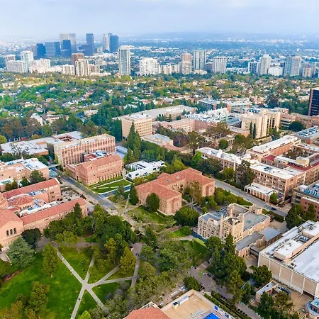 Kimpton Hotel Palomar Los Angeles Beverly Hills By Ihg-2