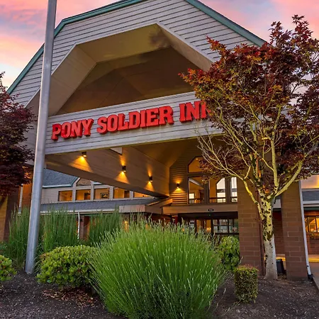 Best Western Pony Soldier-2