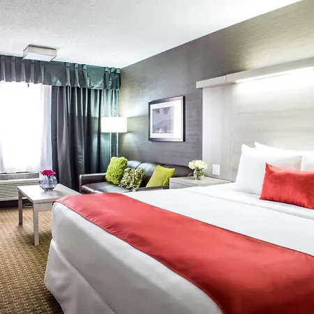 Coast Calgary University Area Hotel By Apa-2