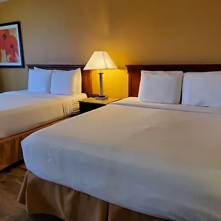 Best Western Golden Key-3