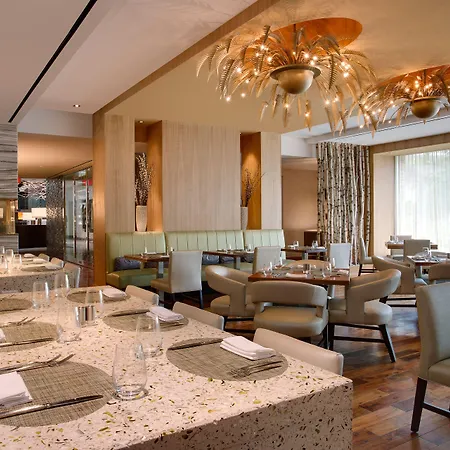 Hilton Mclean Tysons Corner-3