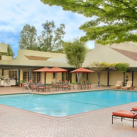 Sheraton Palo Alto Hotel-3