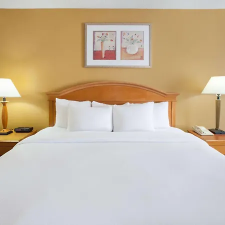 Americas Best Value Inn Canton-3