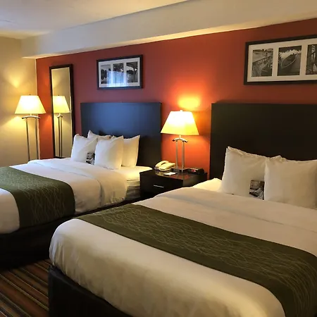 Comfort Inn & Suites Peterborough Kawarthas-3
