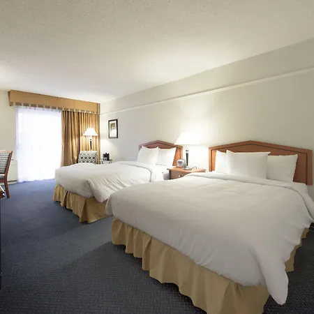 Toronto Don Valley Hotel And Suites-2