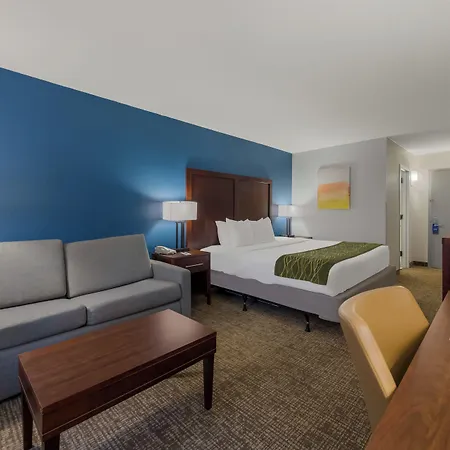 Comfort Inn Newport News - Hampton I-64-3