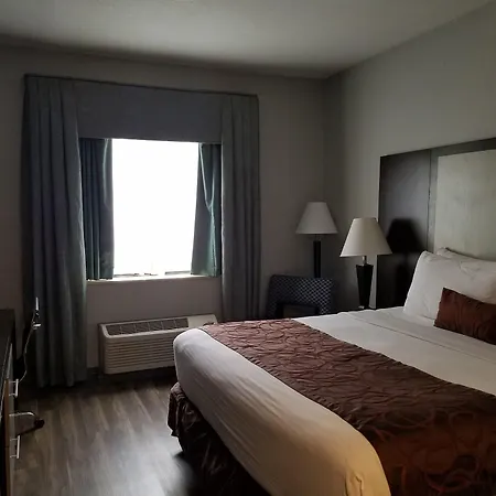 Wyndham Garden Hotel - Jacksonville-2