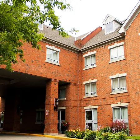 Comfort Suites London - Dearness Drive-3