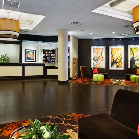 Sheraton Springfield Monarch Place Hotel-3