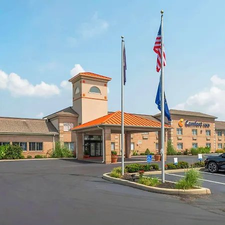 Comfort Inn Edinburgh - Columbus-3
