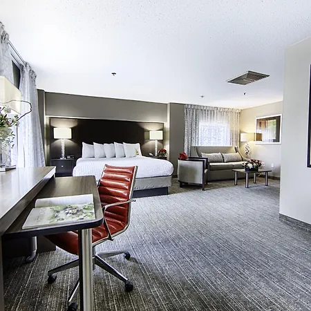 Hotel Capstone-3