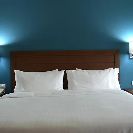 Holiday Inn Guadalajara Expo Plaza Del Sol By Ihg-3