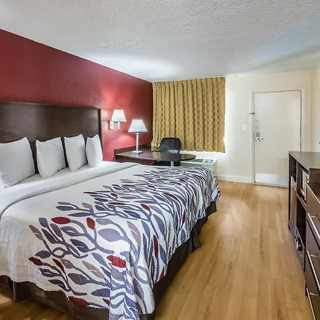 Red Roof Inn Orlando South - Florida Mall-3