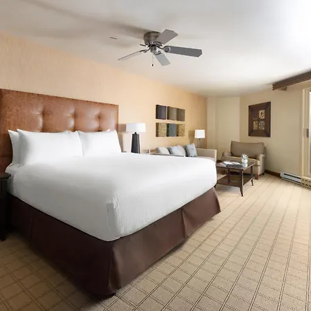 Elevation Hotel & Spa-2