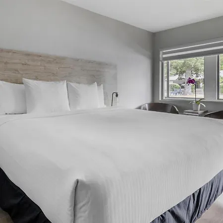 Dannys Suites, Surestay Collection By Best Western-3